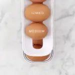 Automatic Scrolling Egg Rack Storage Box - Image 8
